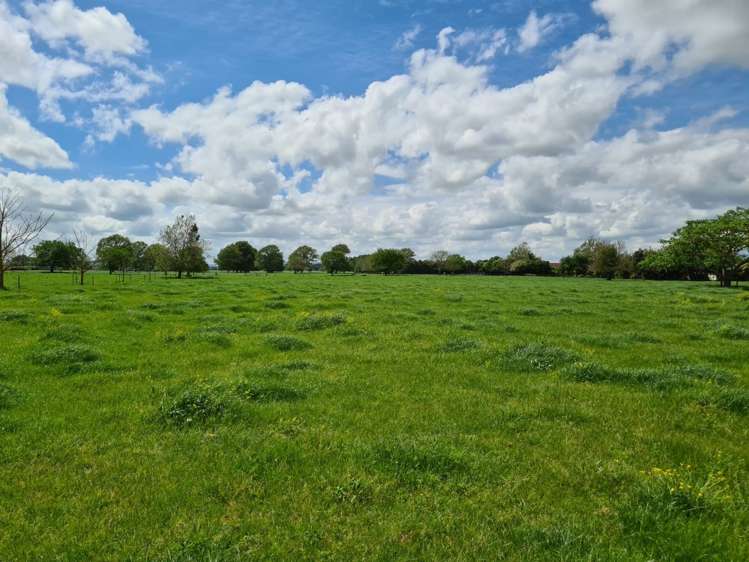 139 Taylor Road Gordonton_19