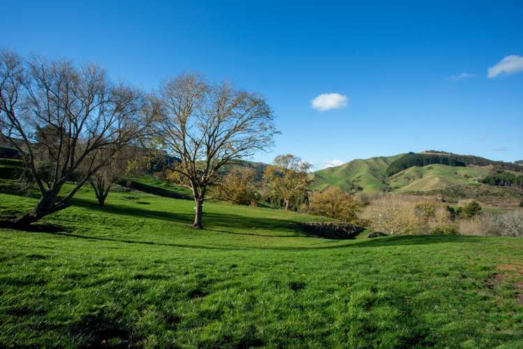 6/311 Flume Road Tauwhare_7