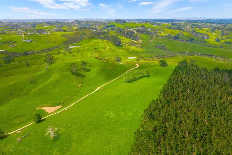 515 Kahikatea Flat Road Waitoki_10