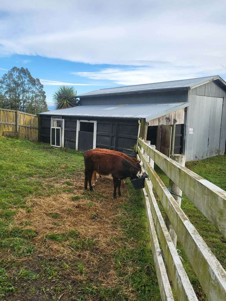 128 Mangatarata Road Waipukurau_27