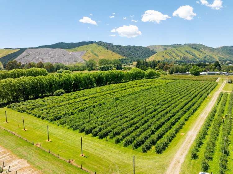 160 Tadmor Valley Road Tapawera_7