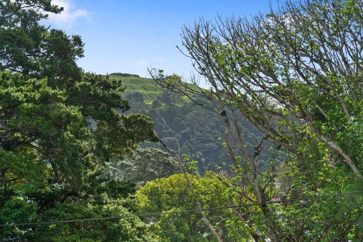 13 Windmill Road Mt Eden_9
