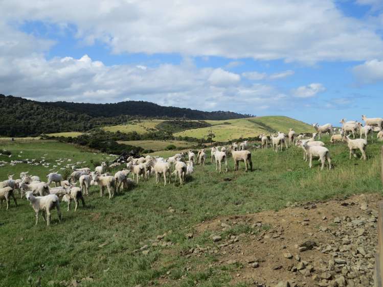 15 Bell Road Taumarunui_19