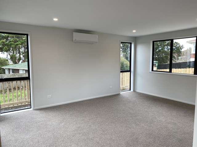 1538c Dominion Road Mount Roskill_1