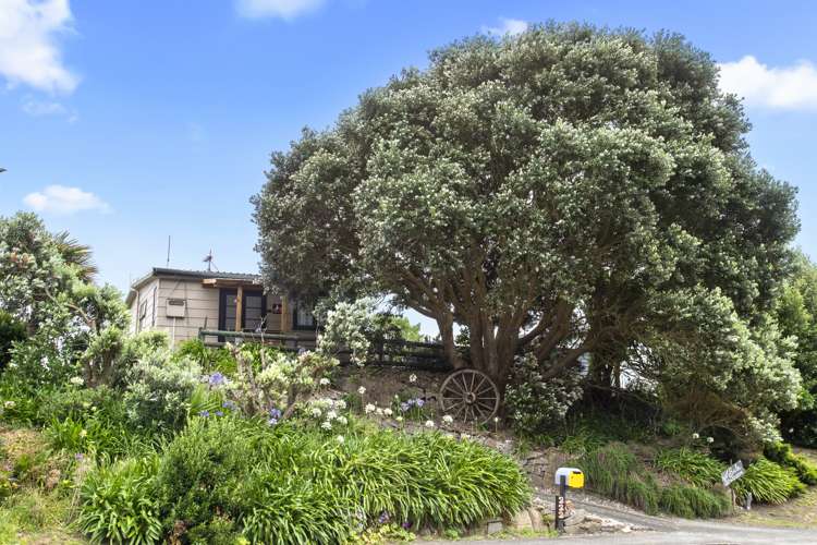 222 Maunsell Road Port Waikato_12