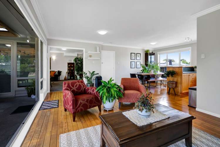 228A Omata Road Spotswood_7