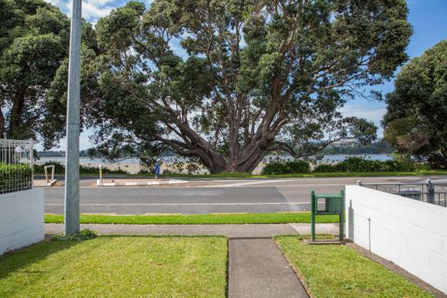 43c Turret Road Tauranga South_1