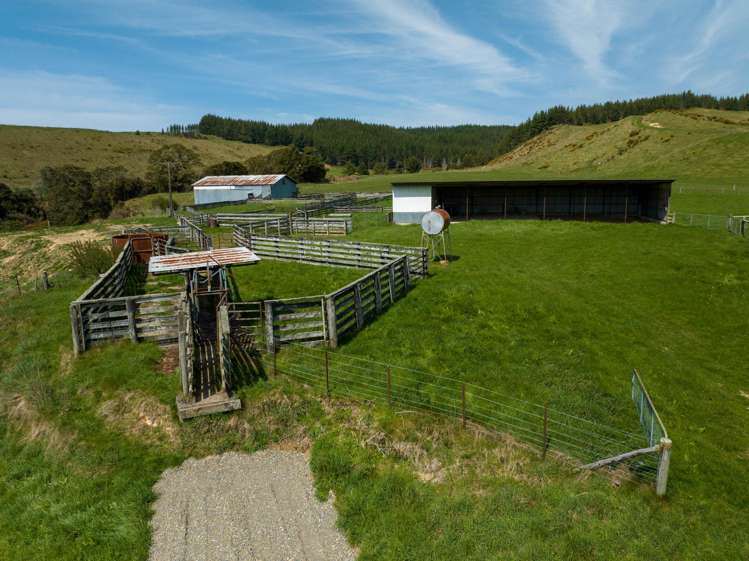 1584 Tadmor-Glenhope Road Tapawera_2