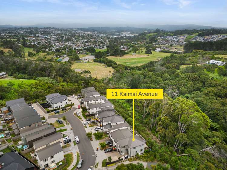 11 Kaimai Avenue_0