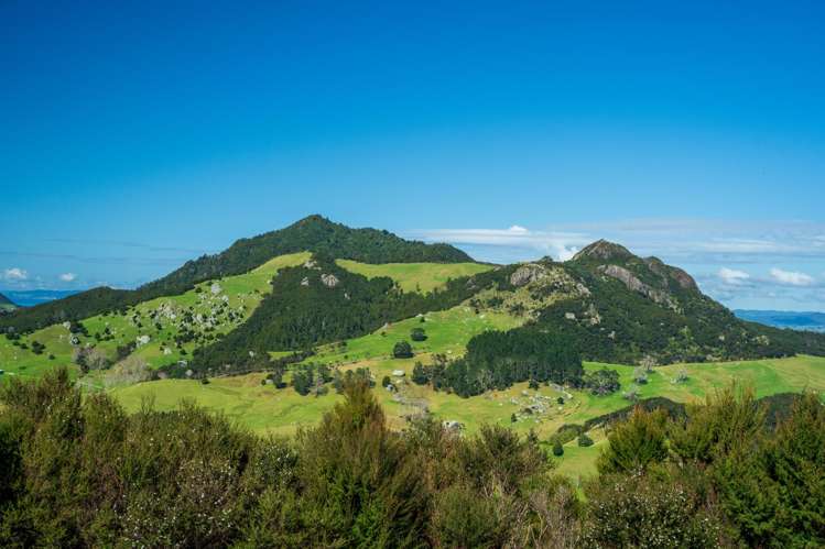 65 Rarangi Heights Parua Bay_20