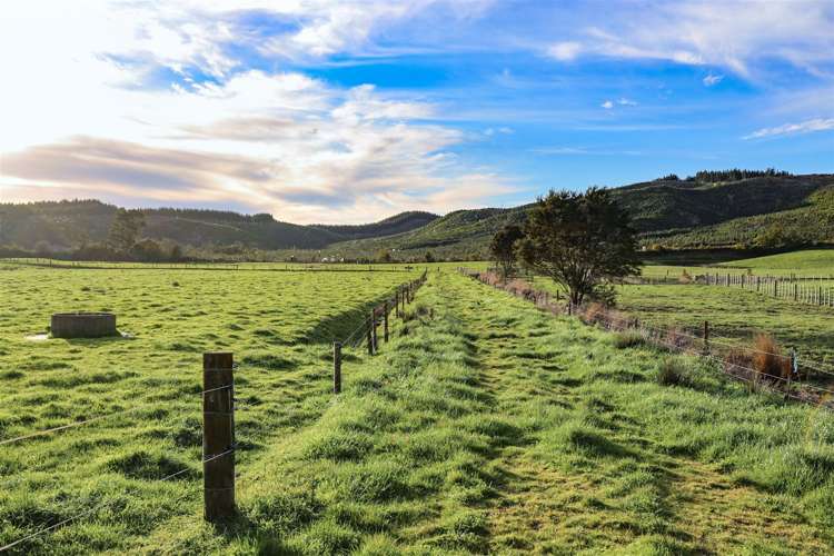 52 Kopuku Road Waerenga_1