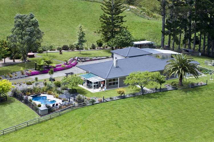 264 Ara-Kotinga Whitford_0