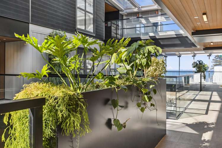 409/4 Bute Road Browns Bay_11