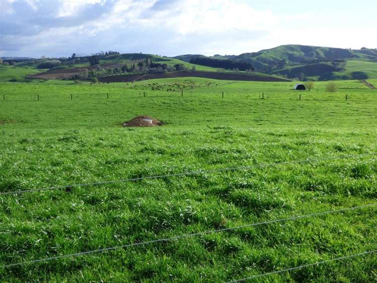 203/219 Paewhenua Road Maihiihi_10