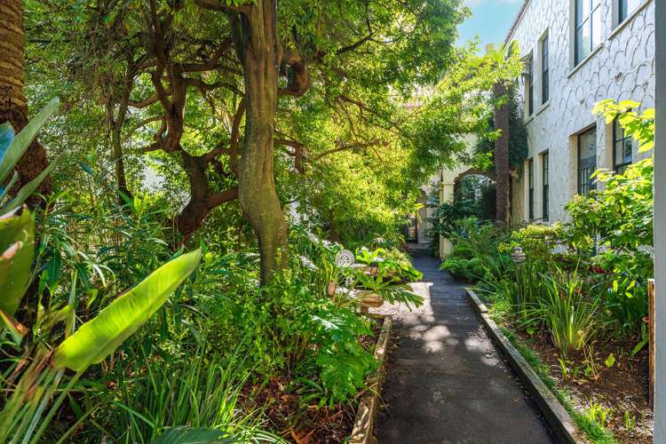 2/128 Newton Road Newton_15