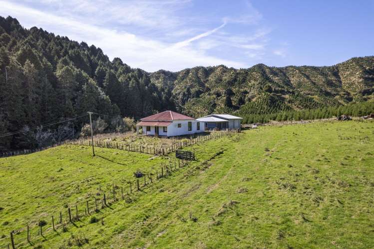 2560 Rawhitiroa Road Eltham_31