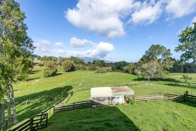 221 Meadway Road Ngahinapouri_13