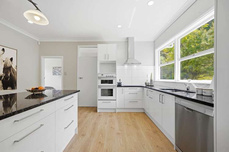 67 Haigh Access Road Dairy Flat_8