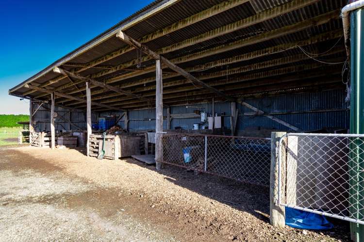 1 McStay Road Rimu_35