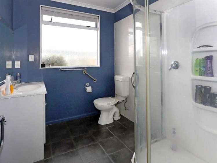 35 Cleghorn Street Redwoodtown_9