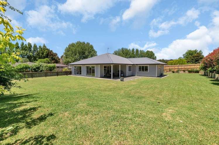 20B Ngunguru Road Glenbervie_28