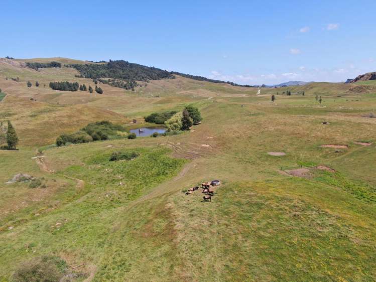 Kahuwera Road Piopio_20