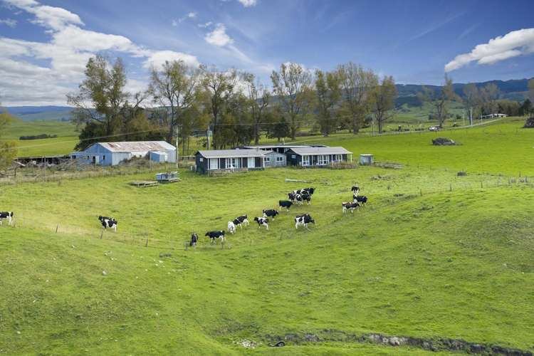 500 Willowford Road Waiwhare_5