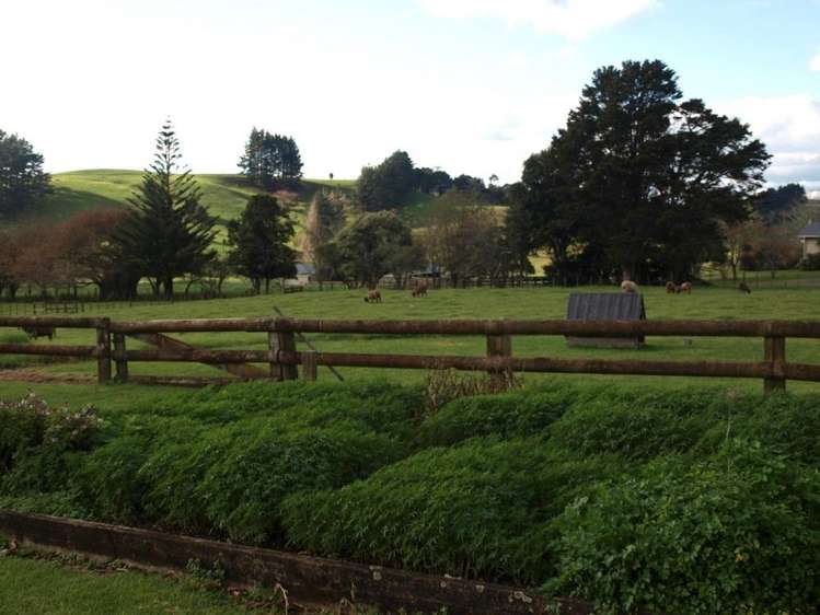 983 Maungakaramea Road Maungakaramea_5