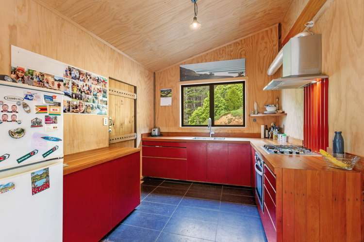 843 Old Mountain Road Raglan_7