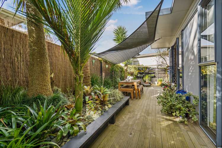 47a Hendry Avenue Hillsborough_6