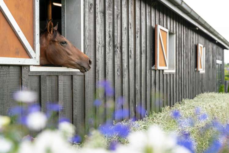 381 Mystery Creek Road Ohaupo_13