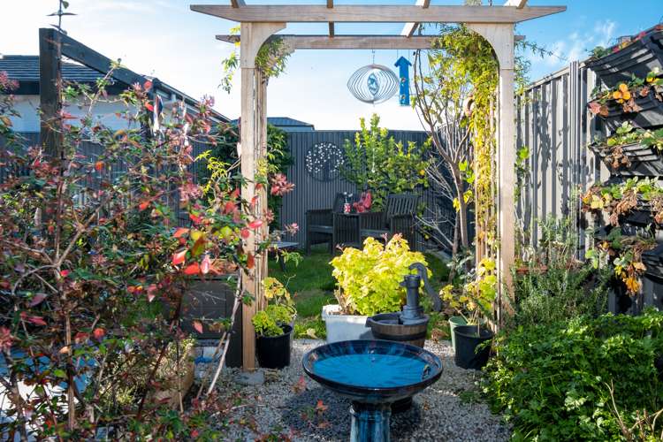 164a Guppy Road Taradale_14