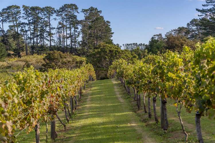 583 State Highway 16 Kumeu_28