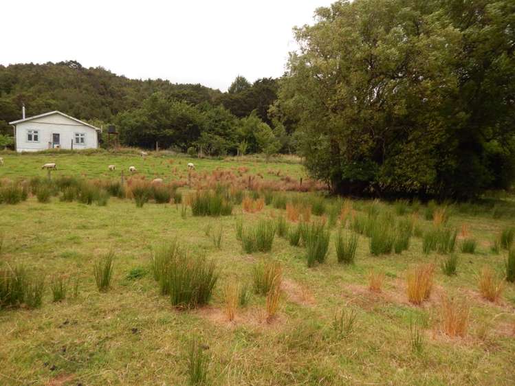 3 Clifford Street Blackball_1