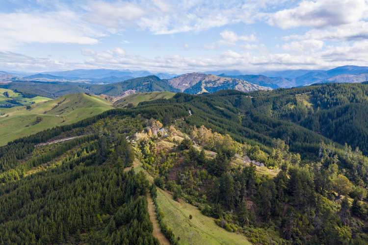 Lloyd Valley Road Thorpe_13