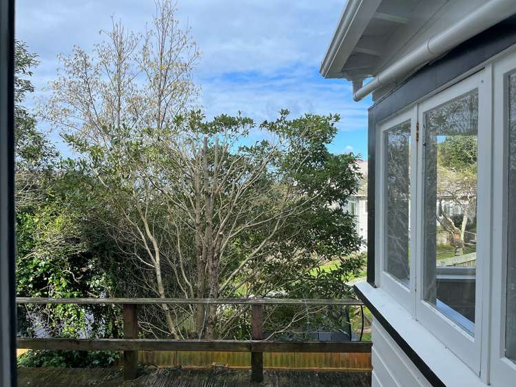 17B Rakau Road Hataitai_18
