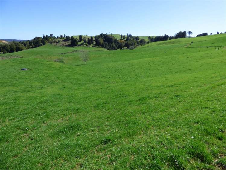 546 Ngutunui Road Otorohanga_18