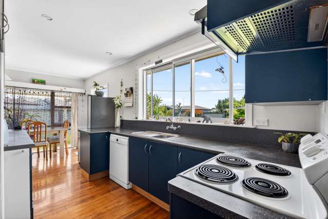 9 Blenheim Street Taradale_2