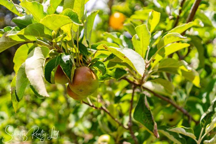 96 Atkin Road Mangawhai_39