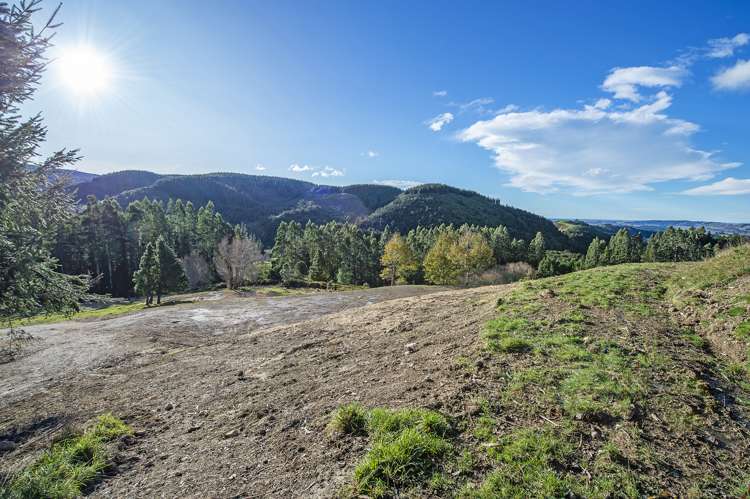 255 Glentui Bush Road Glentui_8