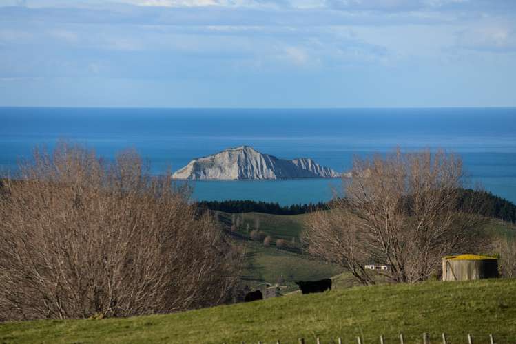 1504 Waimarama Road Waimarama_1