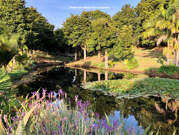 23 Amsharlo Drive Kerikeri_7