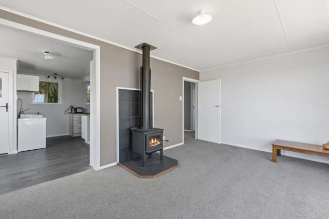 24 Mahoe Street Levin_2