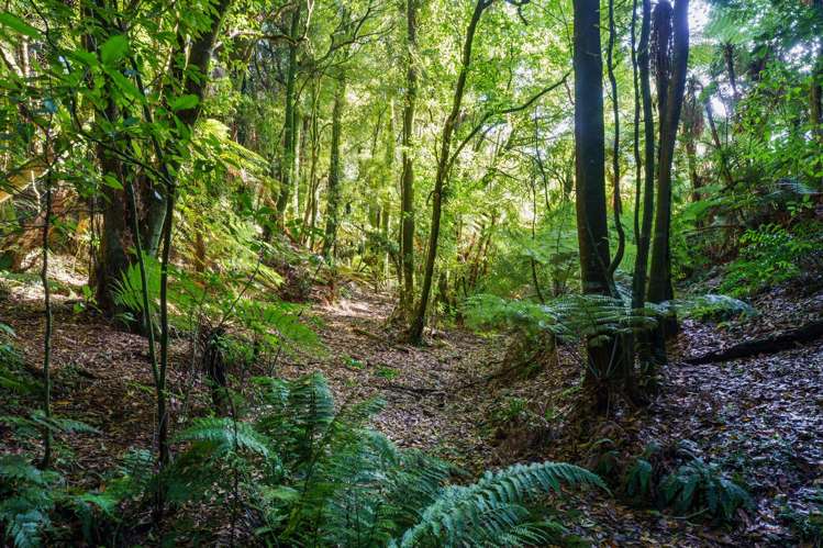 1658 Oropi Road Oropi_2