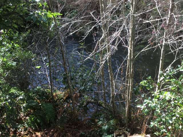 100 Burns Street Ohakune_4