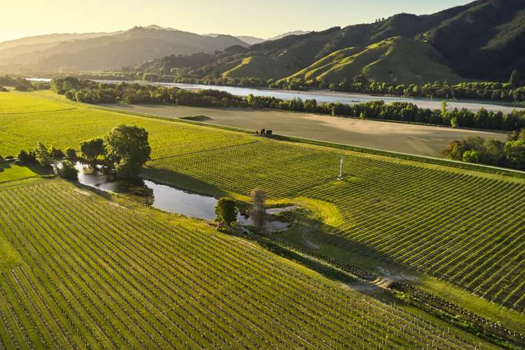 212 Selmes Road Rapaura_21