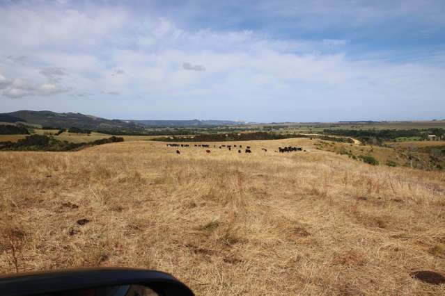 Okahu Road Kaitaia_2