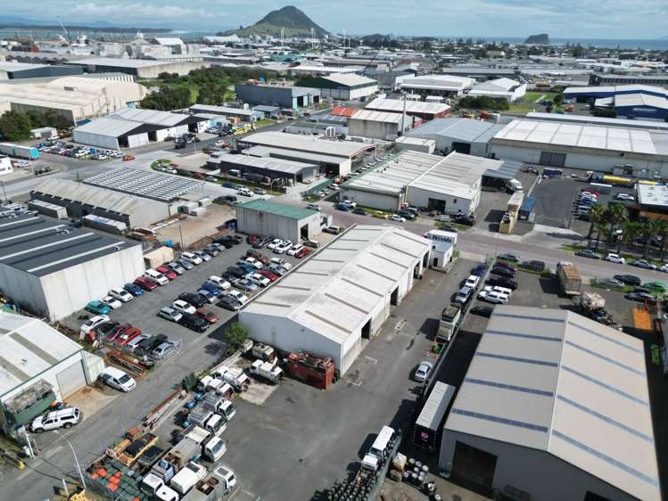 6 Macrae Avenue Mount Maunganui_15