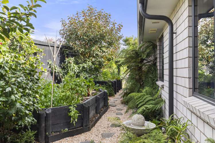 3 Balmore Crescent Pokeno_21