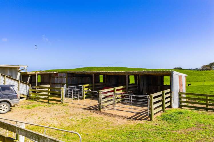 780 Te Maire Road Te Kopuru_10